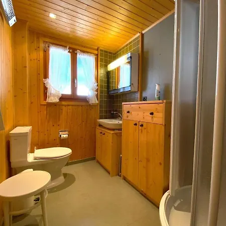 Alis - Grosses Chalet, Nahe Sportarena Und Skilift, Bis 9 Personen *